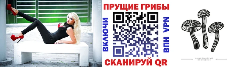 Галлюциногенные грибы мухоморы  закладки  Ессентуки 